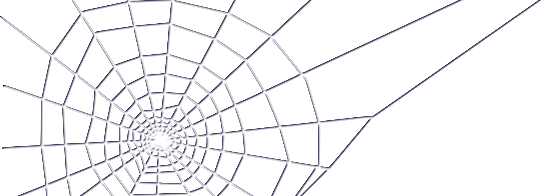 cobweb